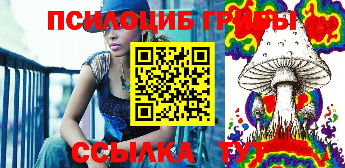 Галлюциногенные грибы Psilocybe Наро-Фоминск